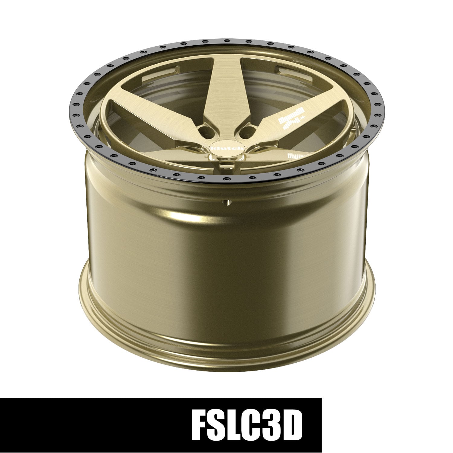 FSLC3D - Image 2